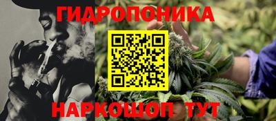 apvp Назарово