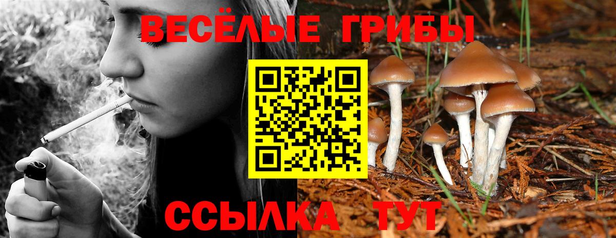 Златоуст  сколько стоит  Галлюциногенные грибы ЛСД  Вход с VPN  Псилоцибиновые грибы Magic Shrooms 